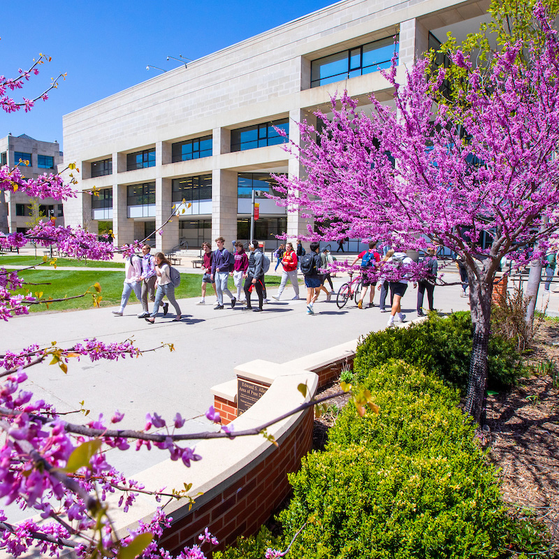 Students walking past Parks Library