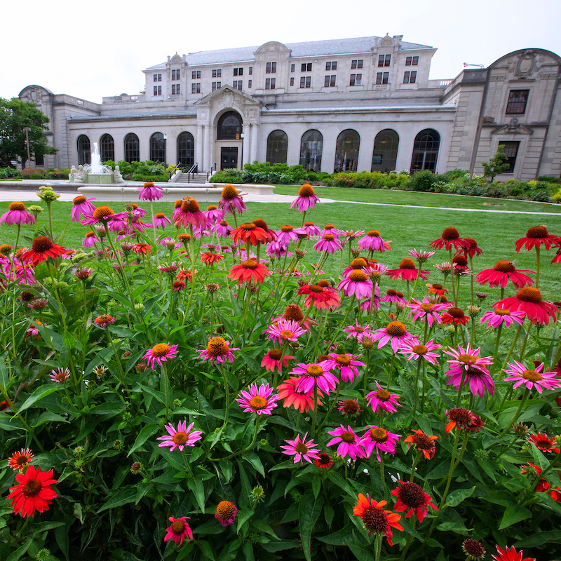 Memorial Union with colorful flowers in the foreground